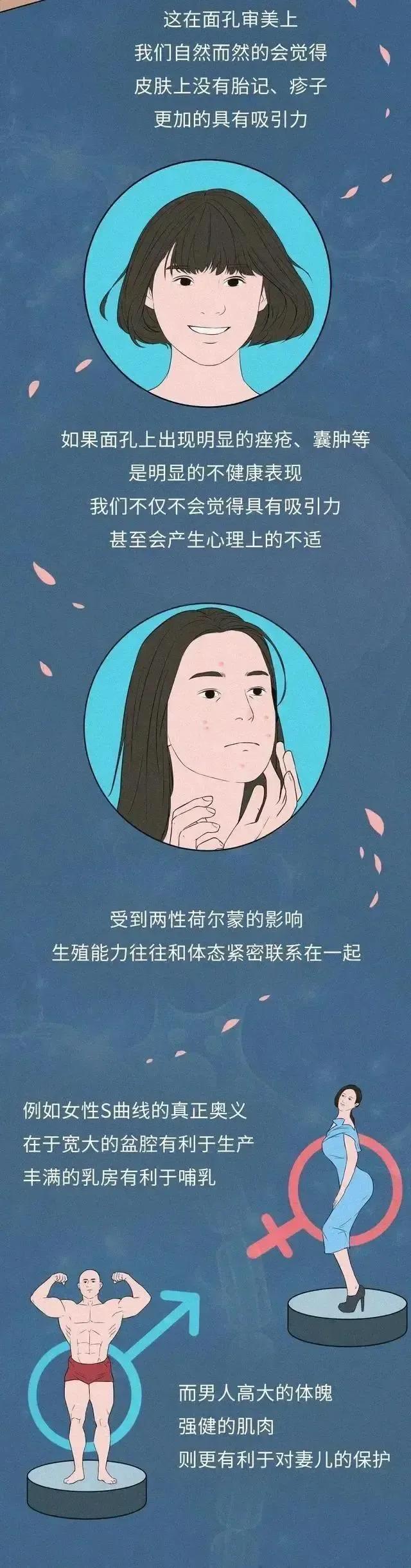 人为何喜欢和长相好看的人交配繁衍？（漫画）窈窕淑女，君子好逑