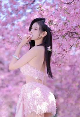 拍樱花美女(美女写真26•樱花女神)