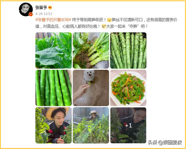 35岁张馨予海边大秀身材！胸部丰腴衬细腰，“一嫁改命”有多幸福