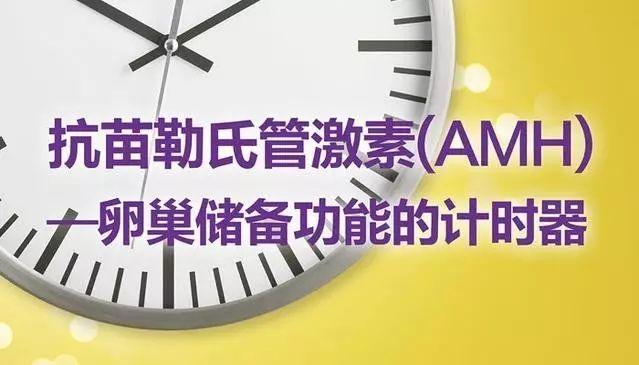 卵巢功能到底如何，月经是最敏感的晴雨表