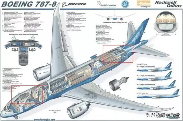 揭密空姐的空中闺房，很多乘客都没见过