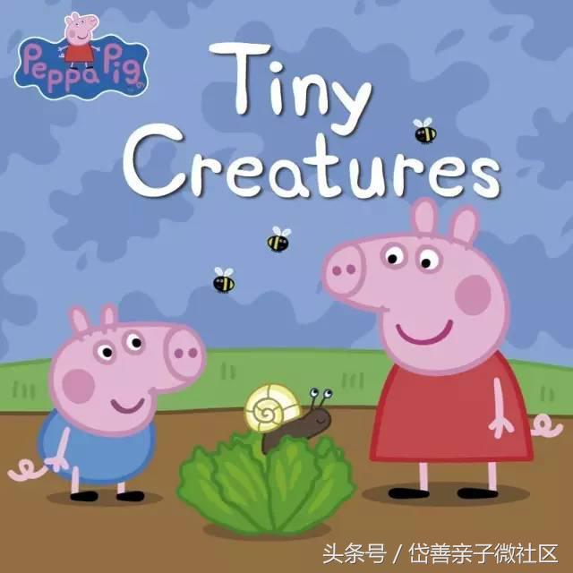 英语绘本故事｜Tiny Creatures 小东西