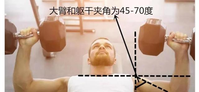 全网最科学的哑铃卧推的分步动作详解，30天练出炸裂胸肌。