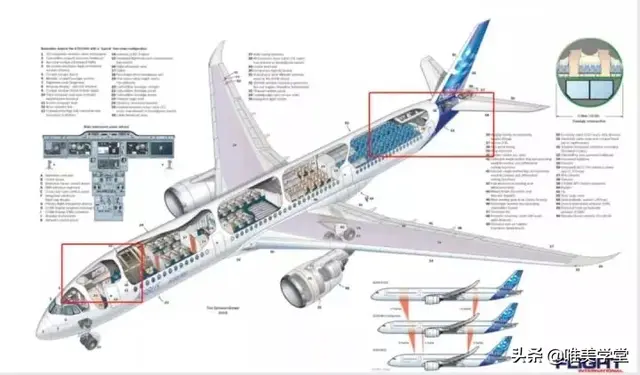 揭密空姐的空中闺房，很多乘客都没见过