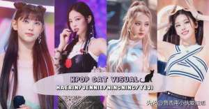 美女犬系(猫系美女BLACKPINK Jennie、aespa 宁宁、ITZY 礼志、NewJean