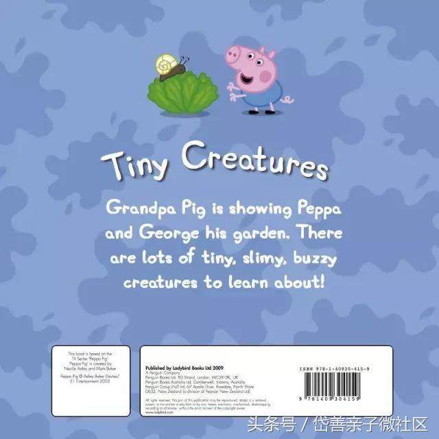 英语绘本故事｜Tiny Creatures 小东西