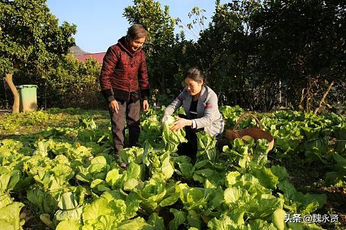 85后美女厨娘，选食材很挑剔，小镇上的人都爱吃她做的家常菜