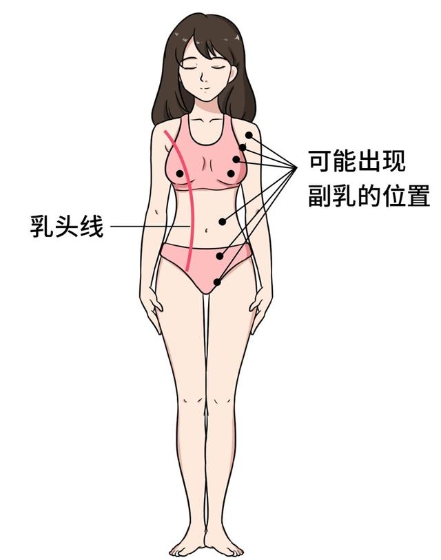 女人胸部长毛毛，有没有问题？15条女性生理知识，男女都该知道