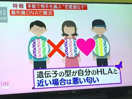 奇葩的日本相亲大会：机器人代劳、DNA检测还有黑暗互摸？