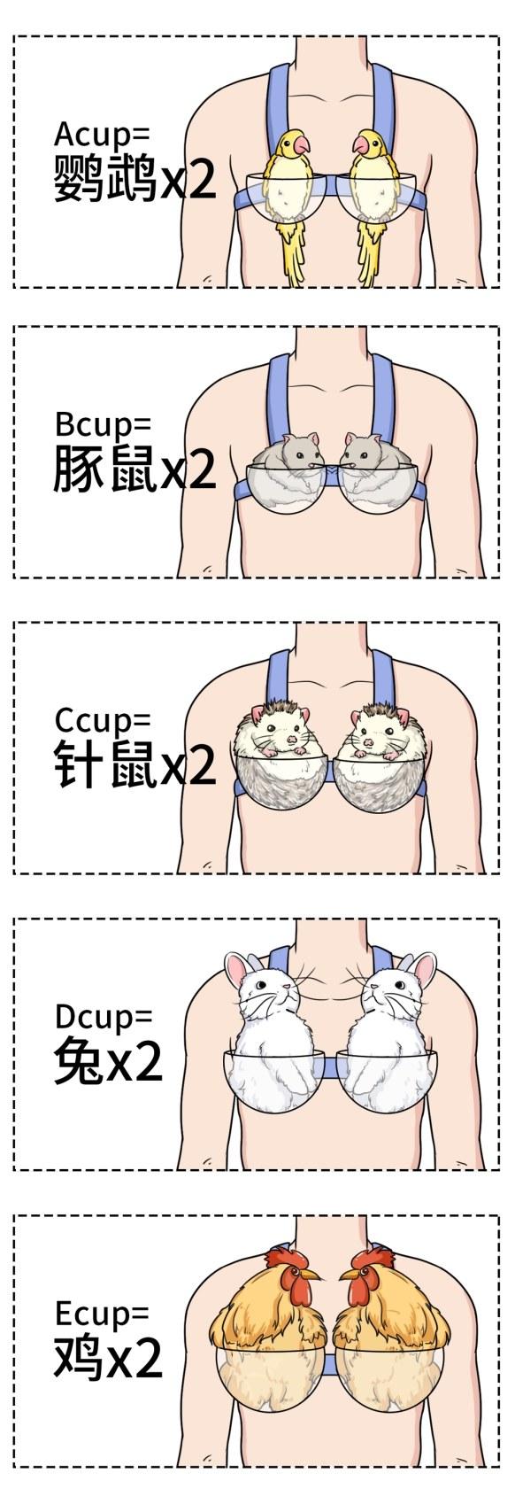 女人胸部长毛毛，有没有问题？15条女性生理知识，男女都该知道