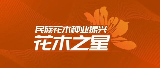 无花粉，花香更淡，抗寒性更强……12个颠覆认知的国产百合品种，均已获国际登录