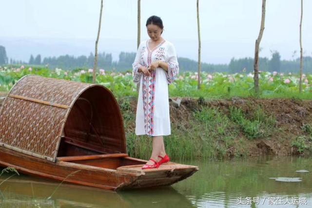 平陆黄河湿地百亩荷花醉人绽放，全国各地的美女都来争当荷花仙子