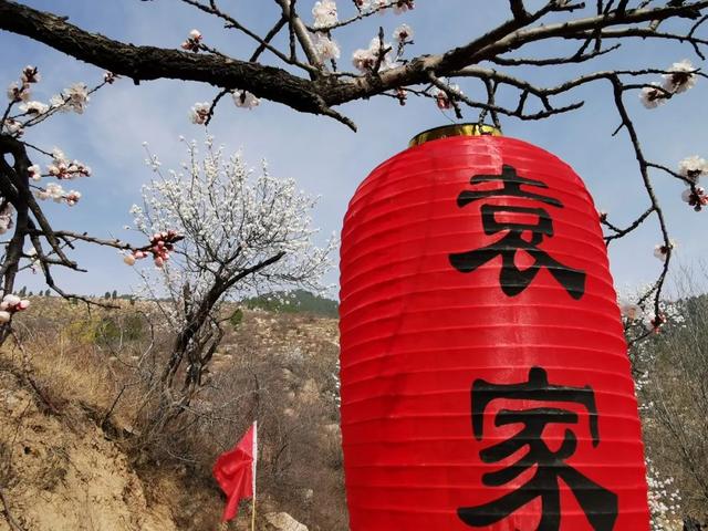 中国四大美女，有两位是山西籍！ 化作春日花神，带你领略运城桃红杏白之美！