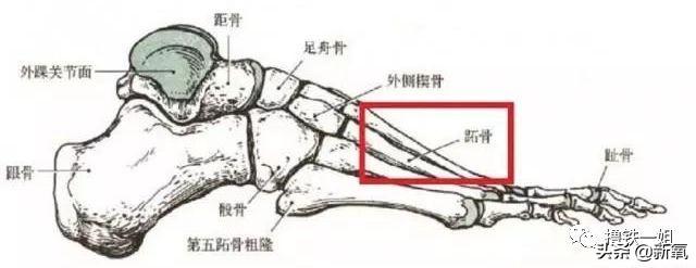 舒淇踩10cm高跟鞋摔倒脸着地，明星们为显高太拼了