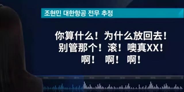 韩版“我爸是李刚”：姐姐逼停飞机被判刑，妹妹一杯水泼掉2000亿