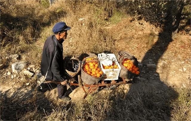 女邻居46岁，离异单身，我们一起去露营，夜里在帐篷里聊的欢快