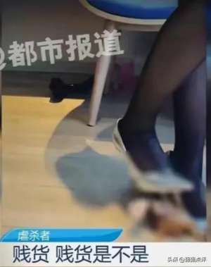 美女杀动物(女子靠残忍变态虐杀动物“发家致富，”一条踩死金鱼的视频赚10万)