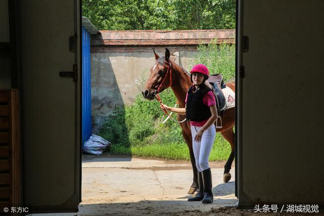 美女驯马师熊妈妈：从月入两千到资产百万 每天往返京冀跨省上班