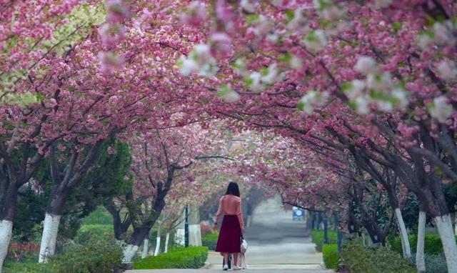 神仙颜值！西安交大曝光“最美校花”，高清大图惊艳全网！