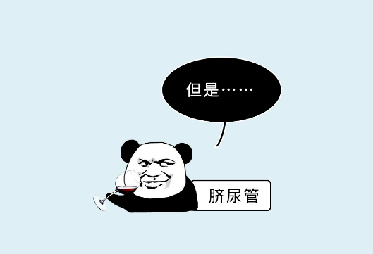 漫画科普：肚脐眼，到底是怎么一回事？