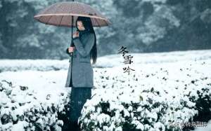 赏雪的美女(冬季雪景唯美气质美女写真)