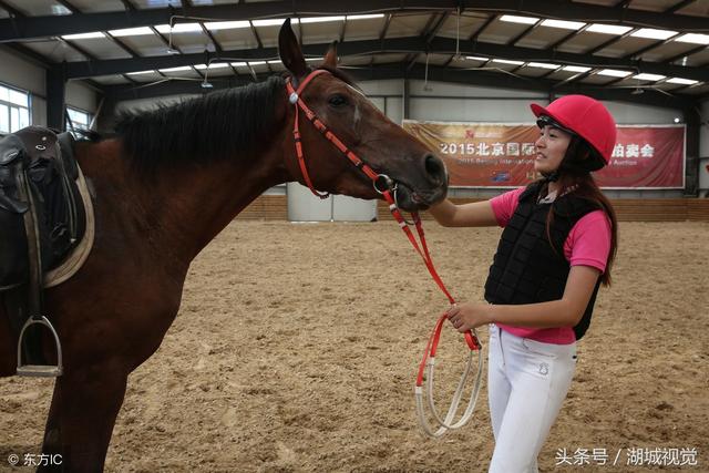 美女驯马师熊妈妈：从月入两千到资产百万 每天往返京冀跨省上班