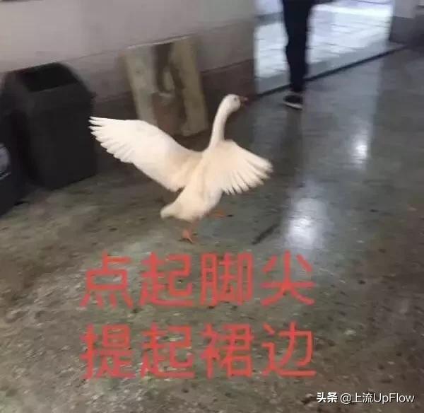 为什么隔壁王老师年纪轻轻就疯了？