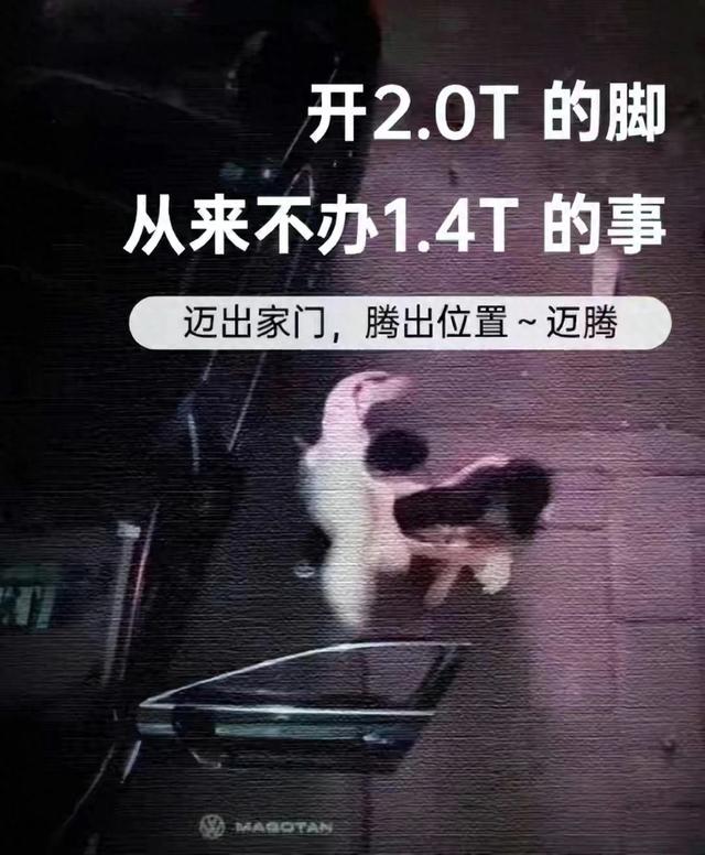 女子当小三被暴打扒掉衣服后续：知情者曝内幕，原配刚生完小孩