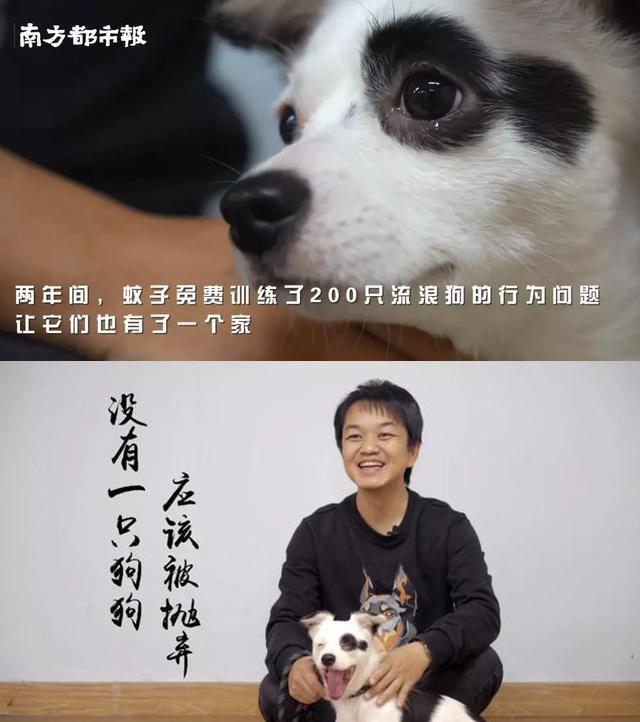 贵宾犬把到店的女顾客丝袜扯烂，主人：“我不是故意的”