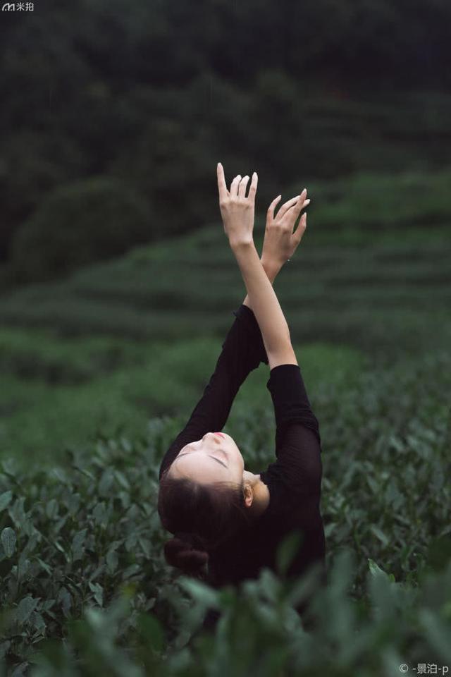 山间茶园的舞者，少女身材婀娜，舞姿曼妙，舞进了我心里