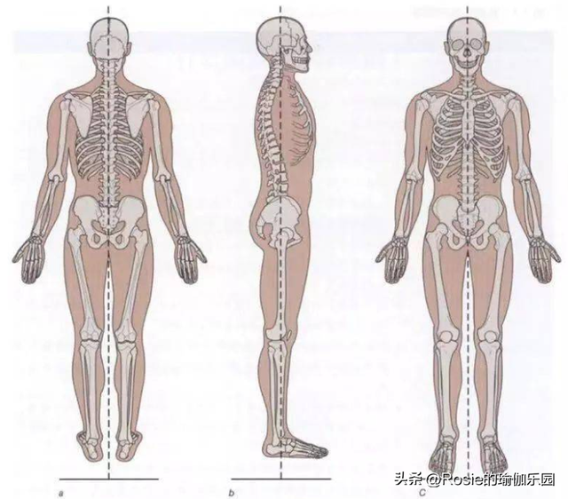 赵露思秀身材火辣美背抢眼，一字肩仙女背如何练？10分钟轻松练