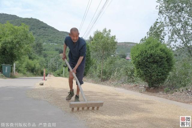 亲人在外打工，妇女抱孩儿排队等麦，机械收割一亩地只需10分钟