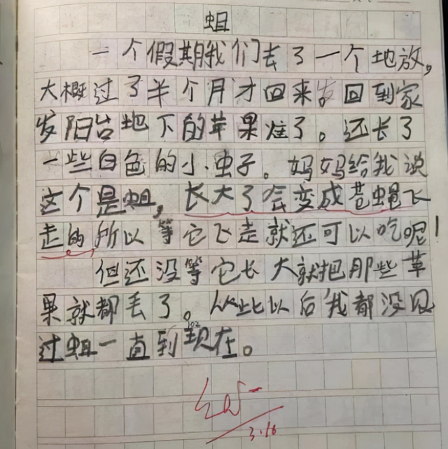 小学生作文《奶奶》走红，内容简洁情感真挚，老师看完潸然泪下