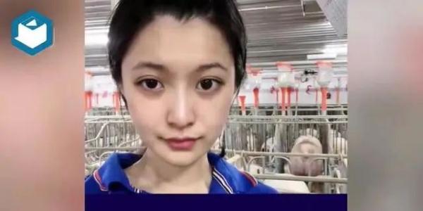 高颜值女生大学毕业后养猪？当事人：年薪10万，很有意思