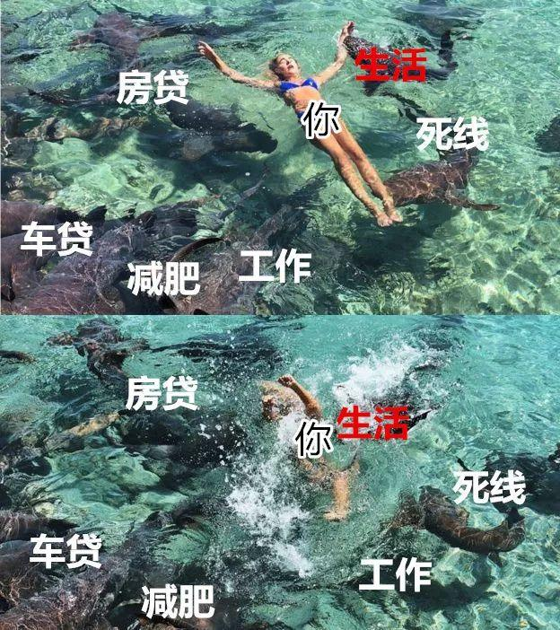 90后美女大胃王1顿吃8斤肉：吃饭月花1万，咋吃都不胖