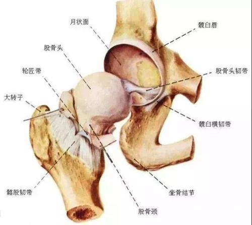 有一种蹲叫“随便蹲”，万茜一个下蹲火爆全网，网友：我认输