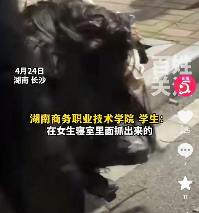 长沙男子穿黑丝带假发闯进女生宿舍，被男同学制服，知情人曝真相