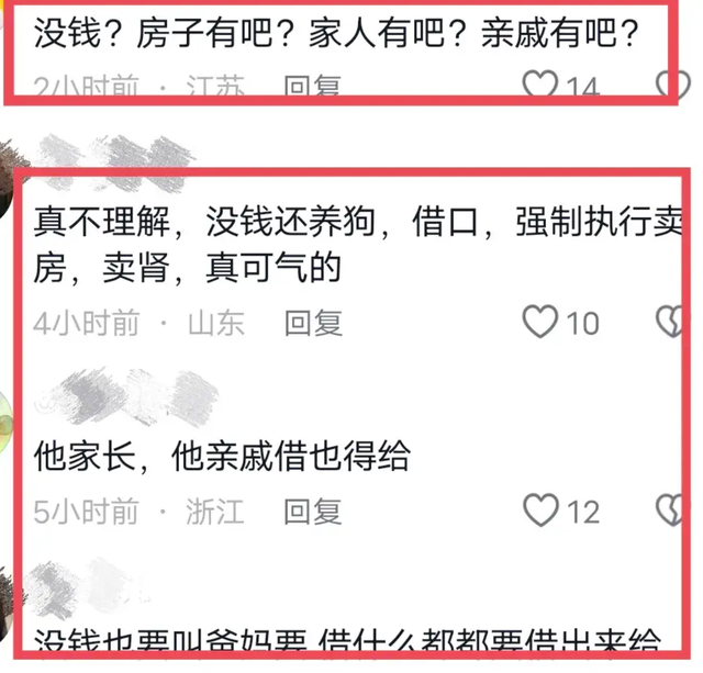 认怂了！湖南恶犬咬穿女孩的腿，狗主人身份曝光，面临巨额医药费