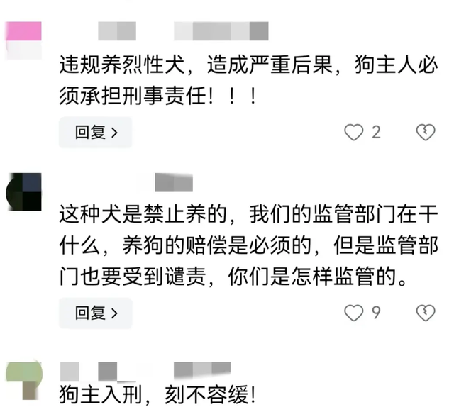 认怂了！湖南恶犬咬穿女孩的腿，狗主人身份曝光，面临巨额医药费