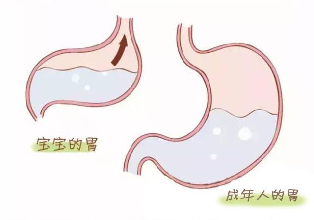 溢奶、呛奶、吐奶的区别，妈妈分不清，宝宝很遭罪