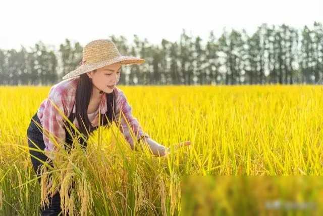 那年在农村维修电器，帮三嫂修电视机，我收获一段良缘