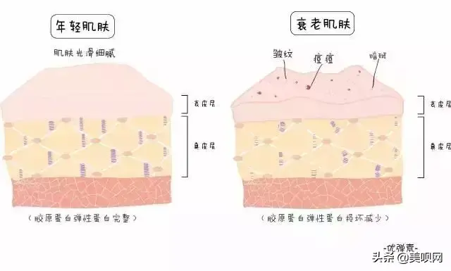 王子文惊艳出场：如何摆脱眼窝凹陷的疲态？越熟越美的心机是？