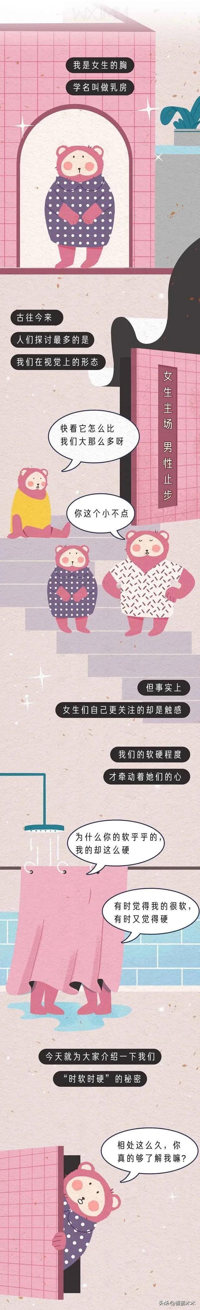 女性胸部为什么会有膨胀、收缩、柔软、坚硬的变化？漫画为你解答