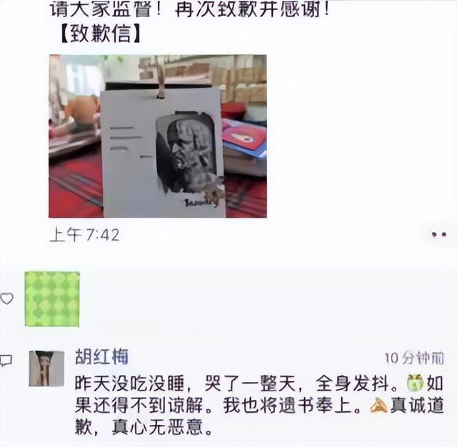 美女校长胡红梅堕落记：凭美貌走上巅峰，成“文字小偷”跌下神坛