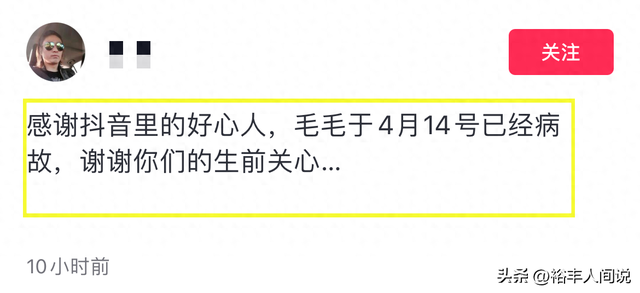 47岁网红“毛毛”去世！三年化疗瘦到脱相，模样似80岁惹人感慨