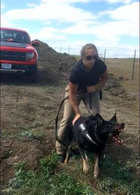 色狗叉美女(美国温顺杂交巨型犬，深夜将女主人咬死，警察调查结果令人唏嘘)