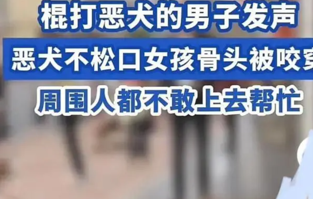 认怂了！湖南恶犬咬穿女孩的腿，狗主人身份曝光，面临巨额医药费