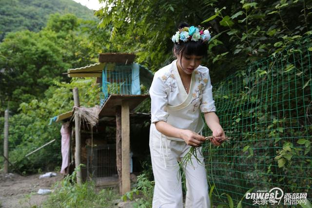 石泉90后女孩山里搭草窝 穿古装直播做美食月入2万