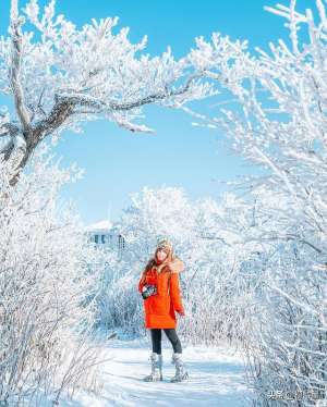 冬天长发美女背影图片(冬天的第一张雪景人像，纯洁美好，惊艳时光)