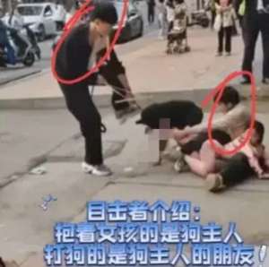 男子咬美女腿(认怂了湖南恶犬咬穿女孩的腿，狗主人身份曝光，面临巨额医药费)